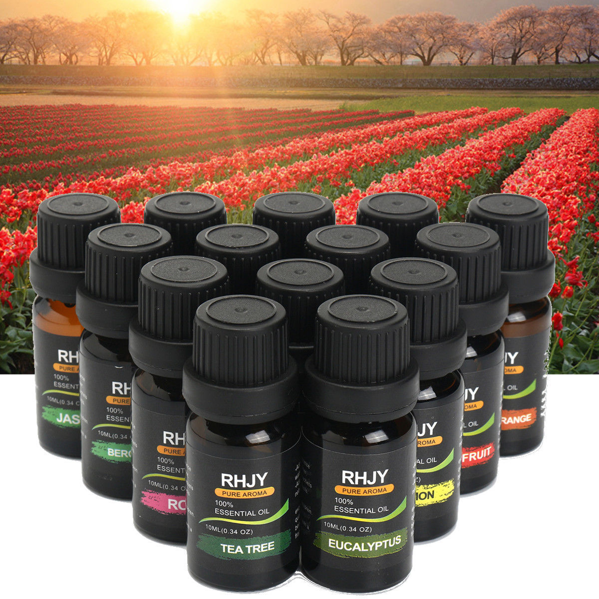 PureBreeze Essential Oil Set for Refreshing & Calm Spaces