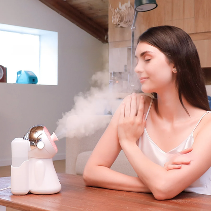 MistAway Hydrating Facial Steamer